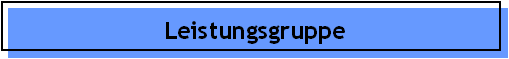 Leistungsgruppe